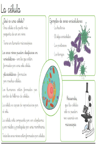 Ficha 4