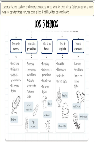 Ficha 5