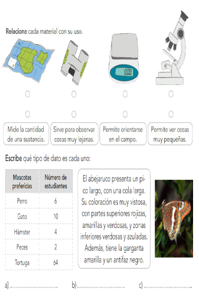 Ficha 4